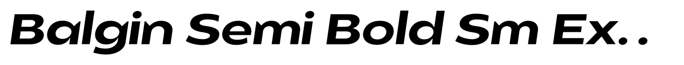 Balgin Semi Bold Sm Expanded Italic